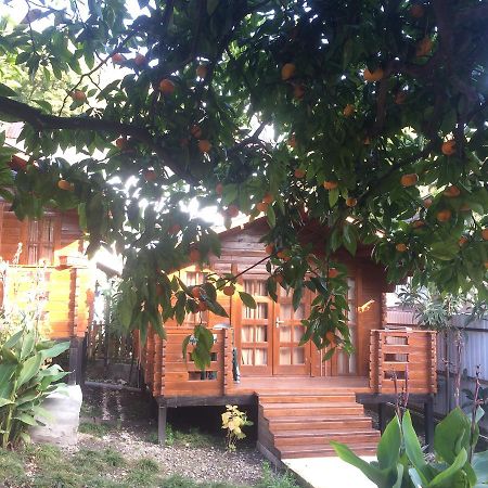 Cottage house New Athos 外观 照片