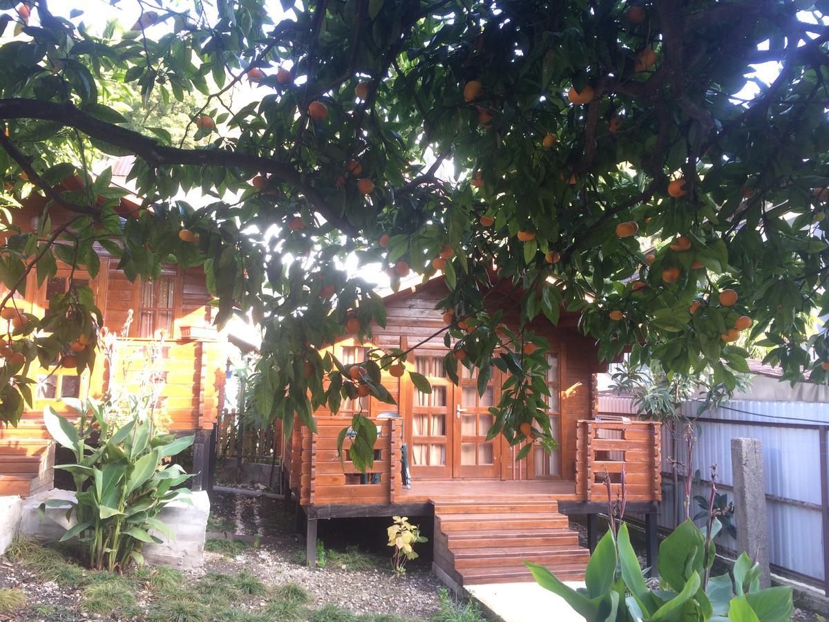 Cottage house New Athos 外观 照片