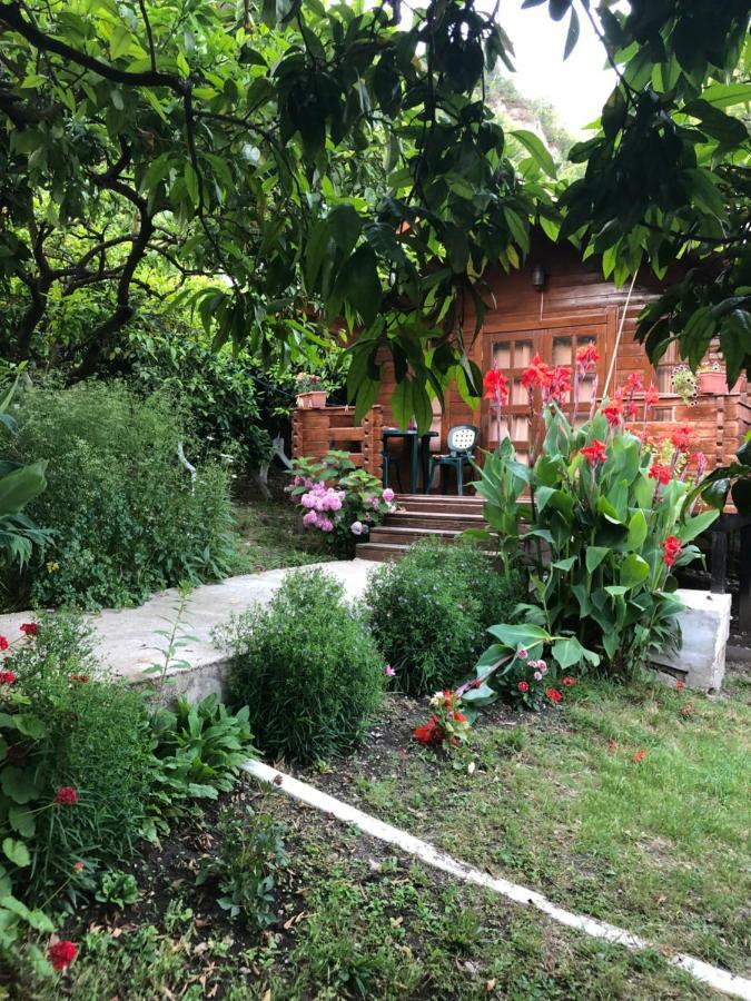 Cottage house New Athos 外观 照片
